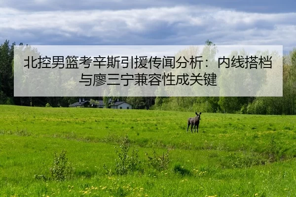 bei-kong-nan-lan-kao-xin-si-yin-yuan-chuan-wen-fen-xi-nei-xian-da-dang-yu-liao-san-ning-jian-rong-xing-cheng-guan-jian-2-810.jpg